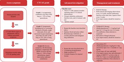 Immune-related pulmonary toxicities of checkpoint inhibitors in non-small cell lung cancer: Diagnosis, mechanism, and treatment strategies